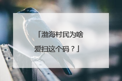 渤海村民为啥爱扫这个码？