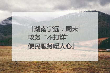 湖南宁远：周末政务“不打烊” 便民服务暖人心