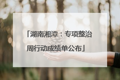 湖南湘潭：专项整治周行动成绩单公布
