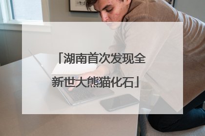 湖南首次发现全新世大熊猫化石