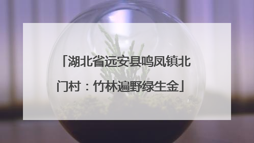 湖北省远安县鸣凤镇北门村：竹林遍野绿生金