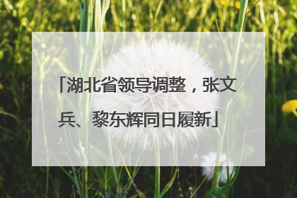 湖北省领导调整，张文兵、黎东辉同日履新