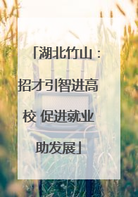 湖北竹山：招才引智进高校 促进就业助发展