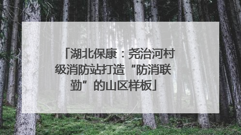 湖北保康：尧治河村级消防站打造“防消联勤”的山区样板
