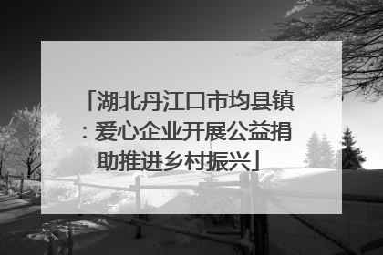 湖北丹江口市均县镇：爱心企业开展公益捐助推进乡村振兴