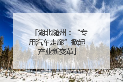 湖北随州：“专用汽车走廊”掀起产业新变革