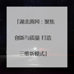 湖北黄冈：聚焦创新与质量 打造三维新模式