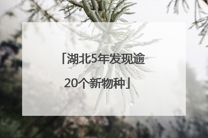 湖北5年发现逾20个新物种