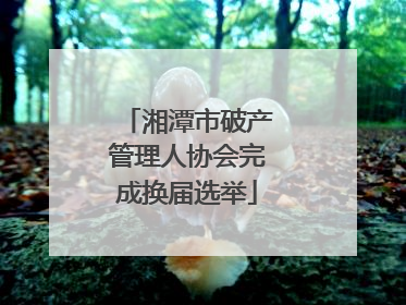 湘潭市破产管理人协会完成换届选举