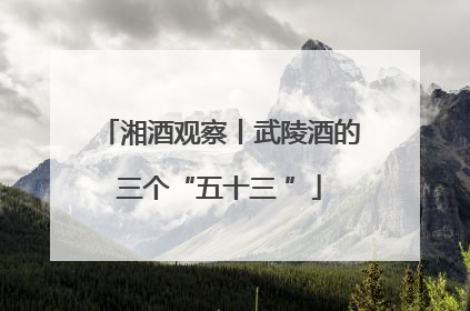湘酒观察丨武陵酒的三个“五十三 ”