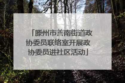 滕州市善南街道政协委员联络室开展政协委员进社区活动
