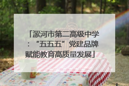 漯河市第二高级中学：“五五五”党建品牌赋能教育高质量发展