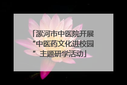 漯河市中医院开展“中医药文化进校园”主题研学活动