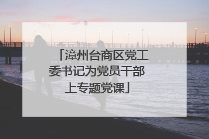 漳州台商区党工委书记为党员干部上专题党课