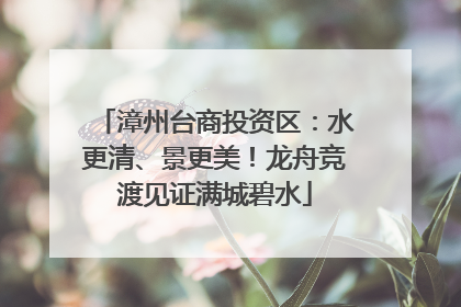 漳州台商投资区：水更清、景更美！龙舟竞渡见证满城碧水