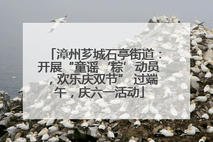 漳州芗城石亭街道：开展“童谣‘粽’动员，欢乐庆双节” 过端午，庆六一活动