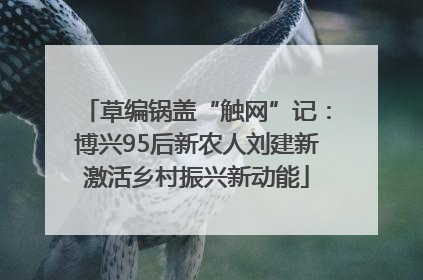 草编锅盖“触网”记：博兴95后新农人刘建新激活乡村振兴新动能