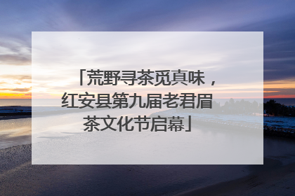 荒野寻茶觅真味，红安县第九届老君眉茶文化节启幕
