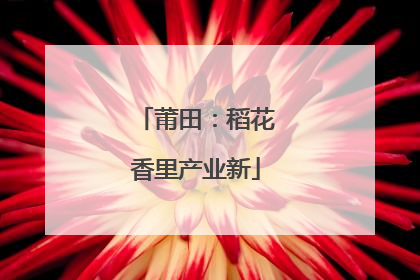 莆田：稻花香里产业新