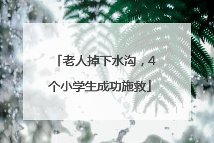 老人掉下水沟，4个小学生成功施救