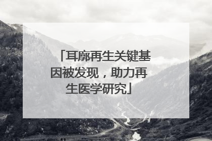 耳廓再生关键基因被发现，助力再生医学研究