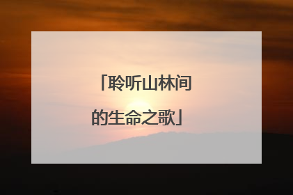 聆听山林间的生命之歌