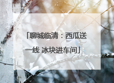 聊城临清：西瓜送一线 冰块进车间