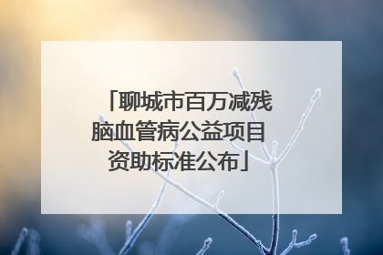 聊城市百万减残脑血管病公益项目资助标准公布