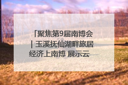聚焦第9届南博会｜玉溪抚仙湖畔旅居经济上南博 展示云南生活新样本