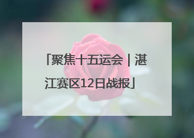 聚焦十五运会｜湛江赛区12日战报