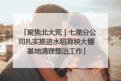 聚焦北大荒｜七星分公司扎实推进水稻育秧大棚基地清理整治工作