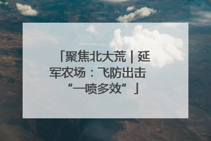 聚焦北大荒｜延军农场：飞防出击 “一喷多效”