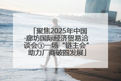 聚焦2025年中国·廊坊国际经济贸易洽谈会③一场“链主会” 助力厂商破圈发展