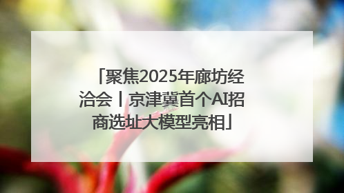聚焦2025年廊坊经洽会丨京津冀首个AI招商选址大模型亮相
