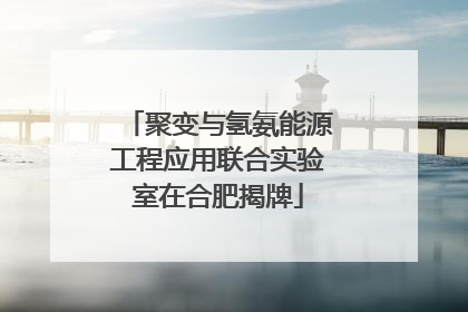 聚变与氢氨能源工程应用联合实验室在合肥揭牌