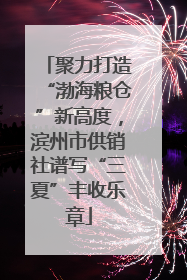 聚力打造“渤海粮仓”新高度，滨州市供销社谱写“三夏”丰收乐章