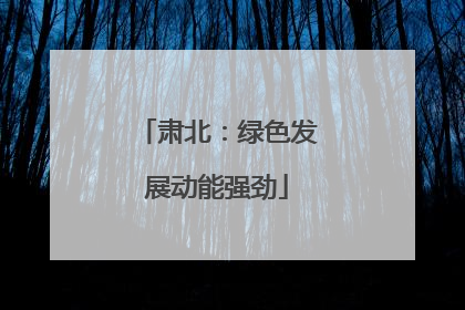 肃北：绿色发展动能强劲