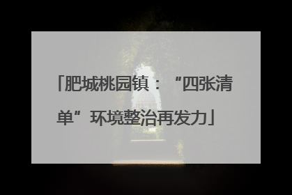 肥城桃园镇：“四张清单”环境整治再发力