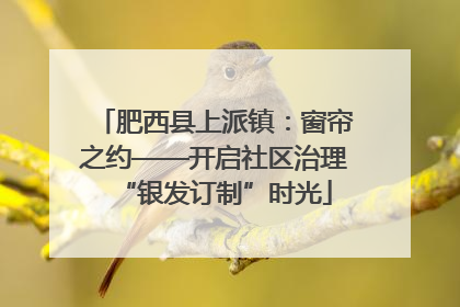 肥西县上派镇：窗帘之约——开启社区治理“银发订制”时光