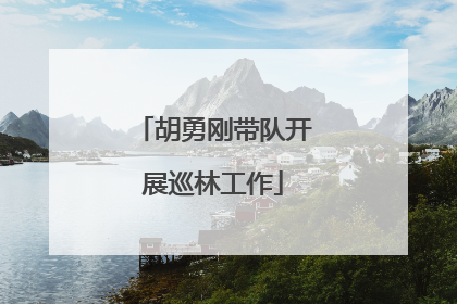 胡勇刚带队开展巡林工作