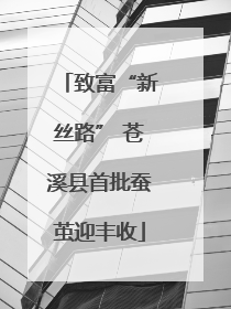 致富“新丝路” 苍溪县首批蚕茧迎丰收