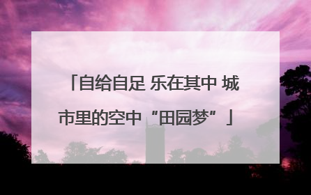 自给自足 乐在其中 城市里的空中“田园梦”