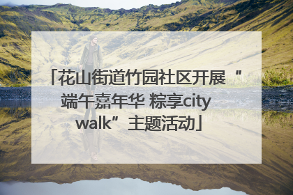 花山街道竹园社区开展“端午嘉年华 粽享city walk”主题活动