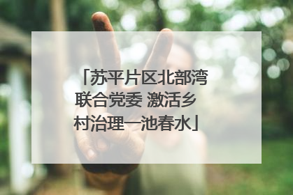 苏平片区北部湾联合党委 激活乡村治理一池春水