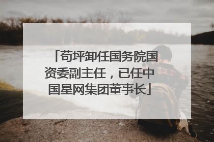 苟坪卸任国务院国资委副主任，已任中国星网集团董事长