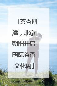茶香四溢，北京朝阳开启国际茶香文化周