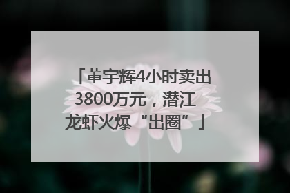 董宇辉4小时卖出3800万元，潜江龙虾火爆“出圈”