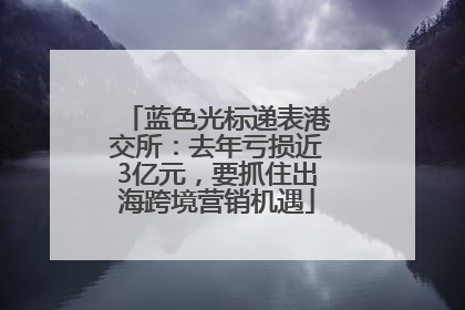 蓝色光标递表港交所：去年亏损近3亿元，要抓住出海跨境营销机遇