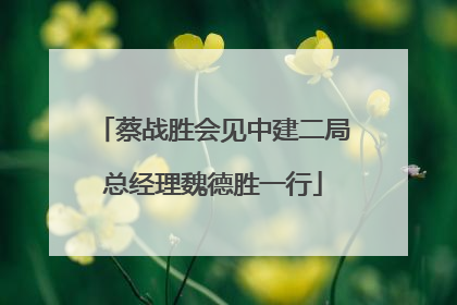 蔡战胜会见中建二局总经理魏德胜一行