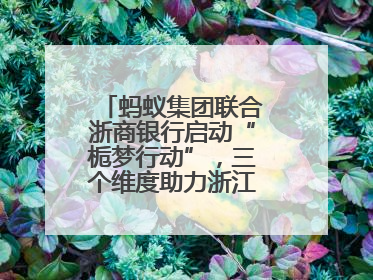 蚂蚁集团联合浙商银行启动“栀梦行动”，三个维度助力浙江下姜村建设共富示范区示范点